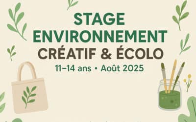 Stage environnement – Créatif et écolo